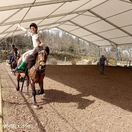 Ferme Equestre Equinox Saint-Clement (Allier)