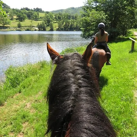Ferme Equestre Equinox - Gite Bien-Etre