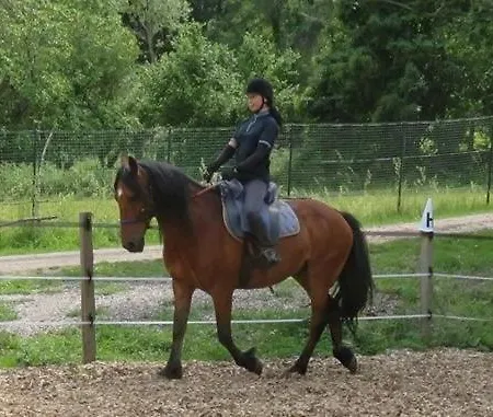 Ferme Equestre Equinox بيت للعطل